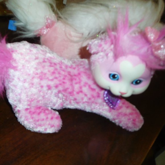 Kitty Surprise* - Picture 1 of 1